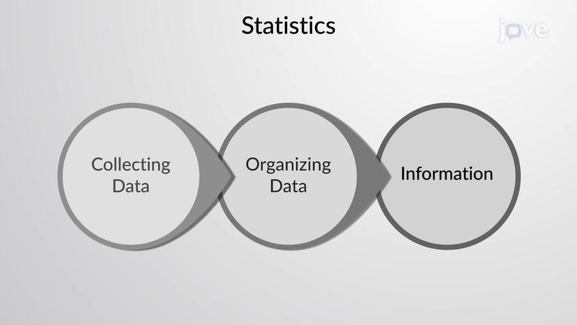 Introduction to Statistics