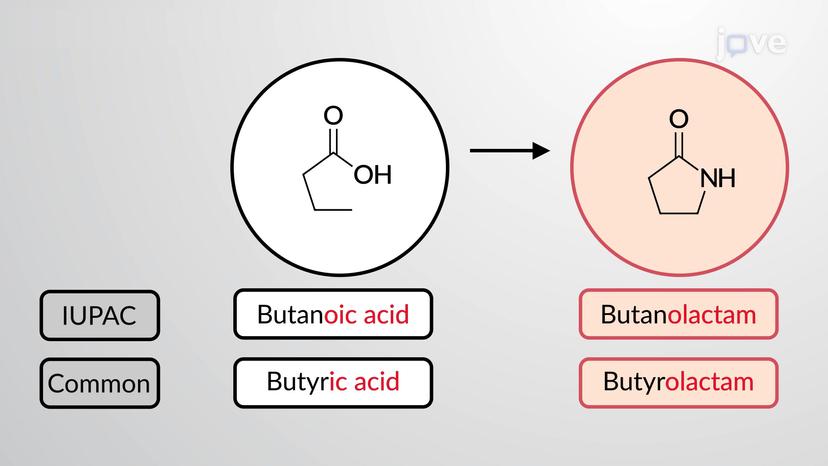 Nomenclature of Carboxylic Acid Derivatives: Amides and Nitriles