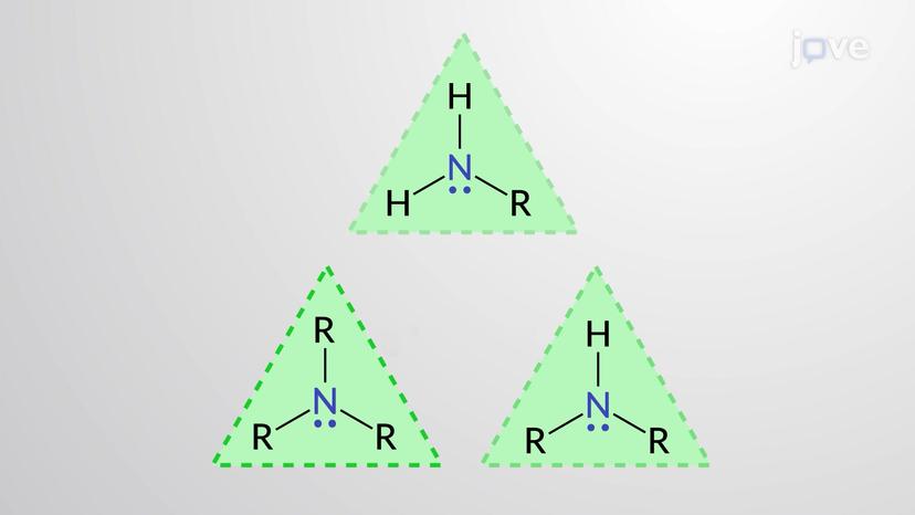 Amines: Introduction