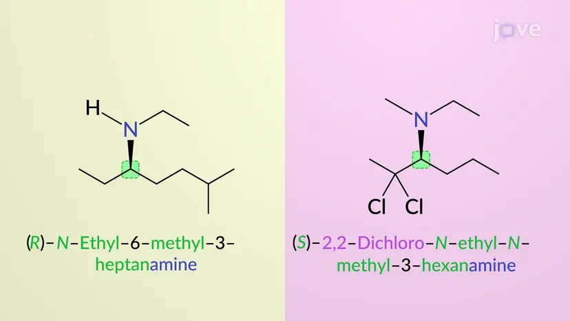 Nomenklatur der sekundären und tertiären Amine