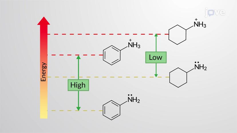 Basicity of Aromatic Amines