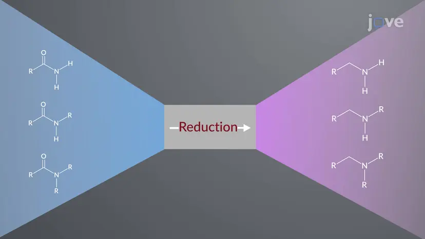 Preparation of Amines: Reduction of Amides and Nitriles