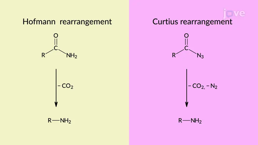 Herstellung von 1°-Aminen: Hofmann- und Curtius-Umlagerungsmechanismen