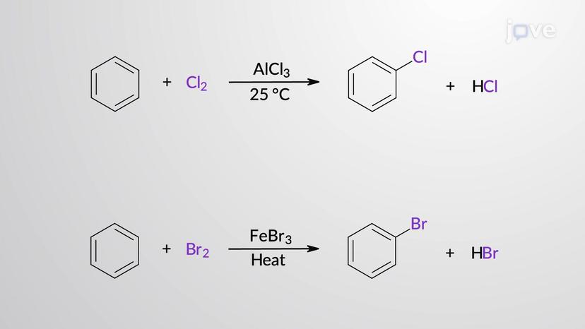 Electrophilic Aromatic Substitution: Chlorination and Bromination of Benzene