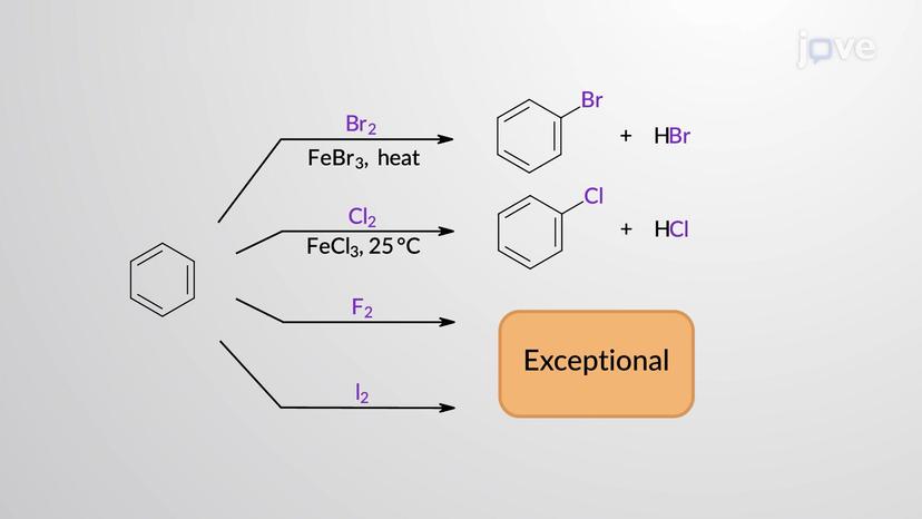 Electrophilic Aromatic Substitution: Fluorination and Iodination of Benzene