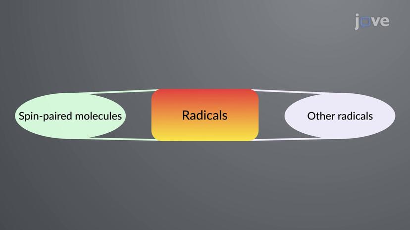 Radical Formation: Overview