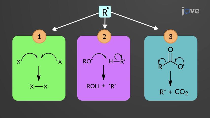 Radical Reactivity: Overview