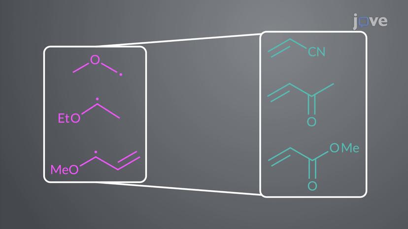 Radical Reactivity: Nucleophilic Radicals