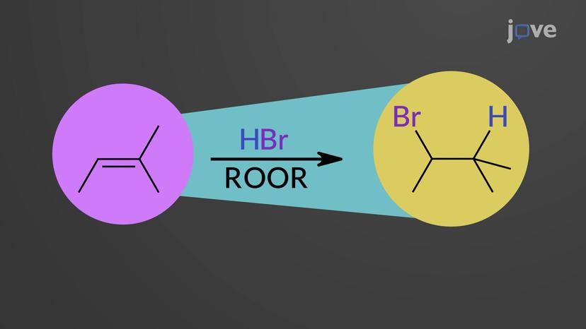 Radical Anti-Markovnikov Addition to Alkenes: Mechanism