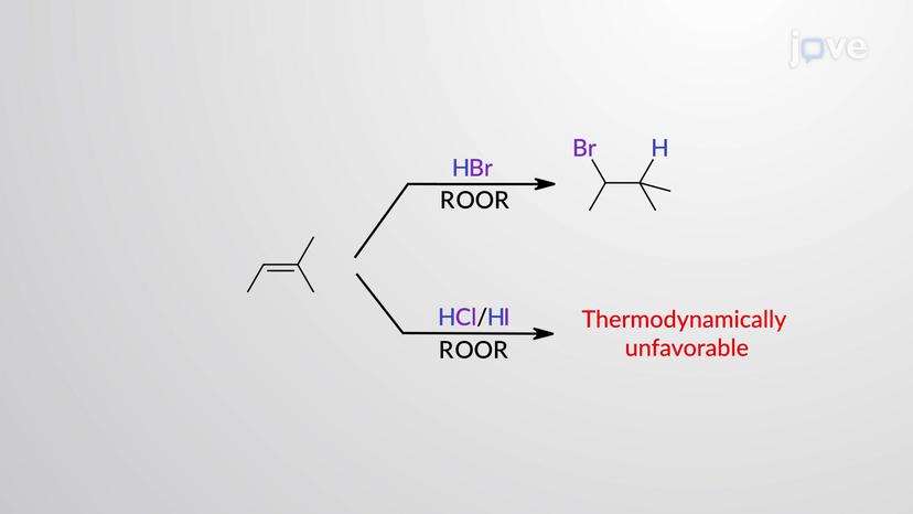 Radical Anti-Markovnikov Addition to Alkenes: Thermodynamics