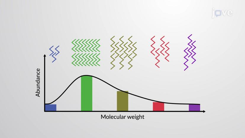 Polymers: Molecular Weight Distribution