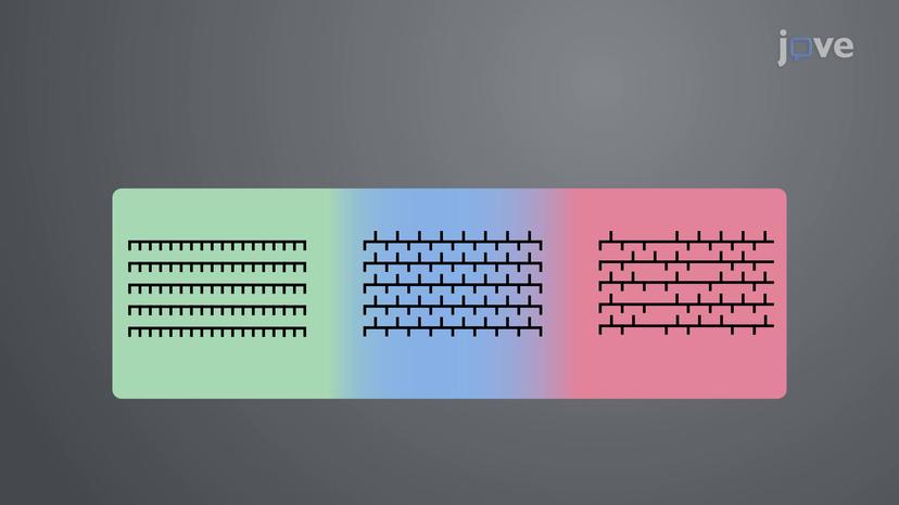 Polymer Classification: Stereospecificity