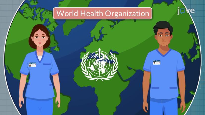 International Nursing Organizations II