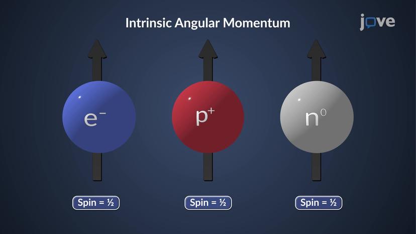 Atomic Nuclei: Nuclear Spin