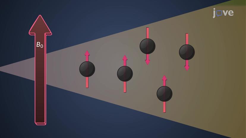 Atomic Nuclei: Nuclear Magnetic Moment