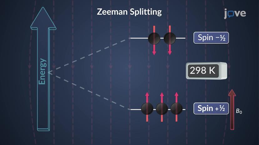 Atomic Nuclei: Nuclear Spin State Overview