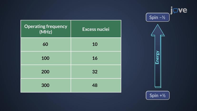 Atomic Nuclei: Nuclear Spin State Population Distribution