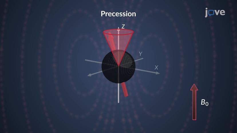 Atomic Nuclei: Larmor Precession Frequency