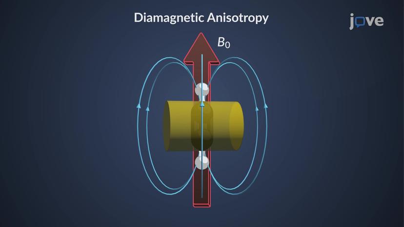 &pi; Electron Effects on Chemical Shift: Overview