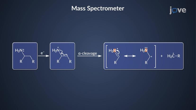 Mass Spectrometry: Amine Fragmentation