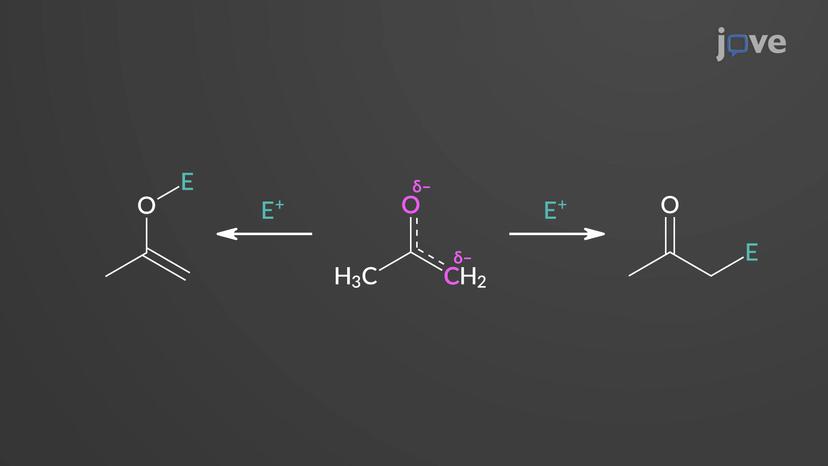 Enolate Mechanism Conventions