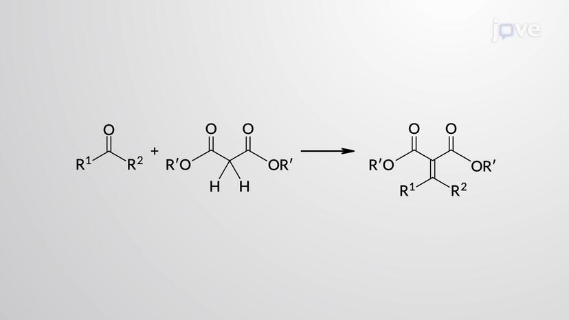 Aldol Condensation with &beta;-Diesters: Knoevenagel Condensation