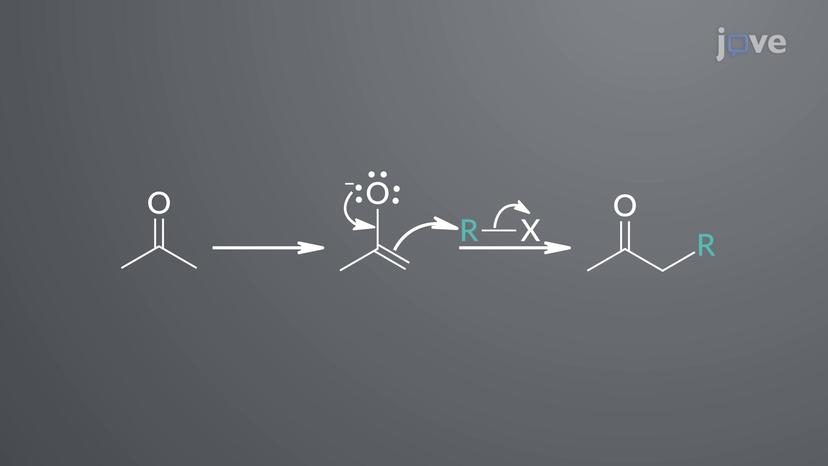 Factors Affecting &alpha;-Alkylation of Ketones: Choice of Base