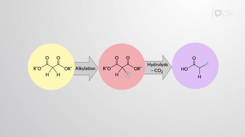 Alkylation of &beta;-Diester Enolates: Malonic Ester Synthesis