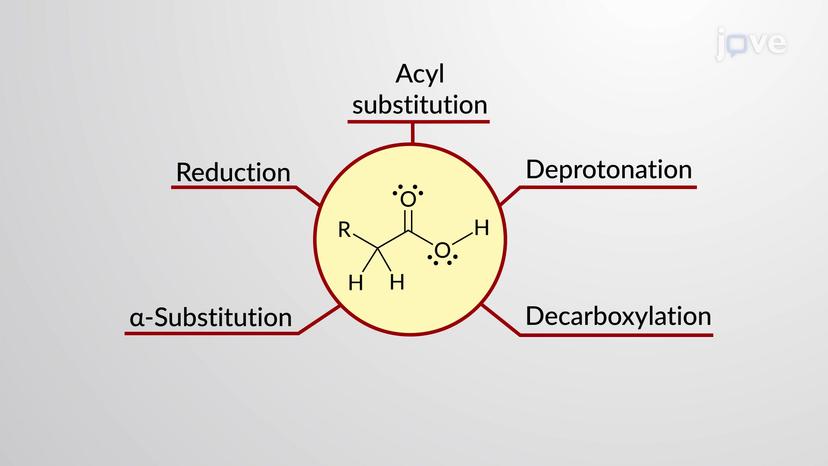 Reactions of Carboxylic Acids: Introduction