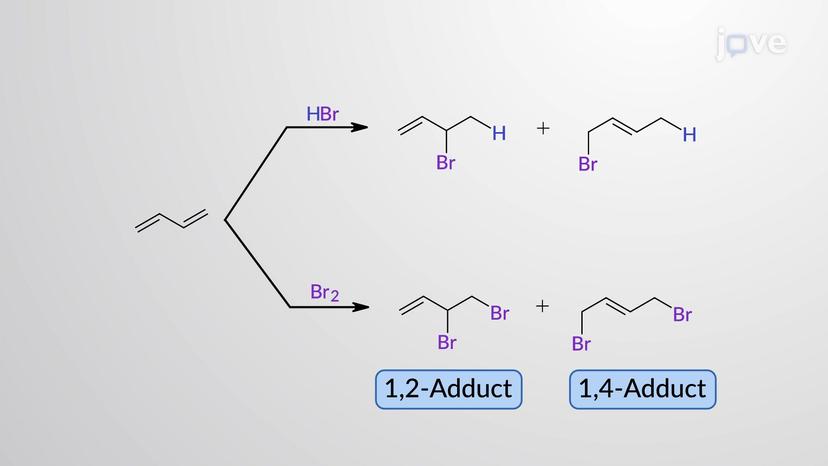 Electrophilic 1,2- and 1,4-Addition of X<sub>2</sub> to 1,3-Butadiene