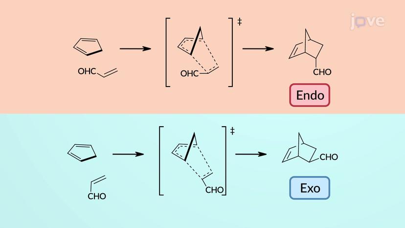 Diels&ndash;Alder Reaction Forming Bridged Bicyclic Products: Stereochemistry