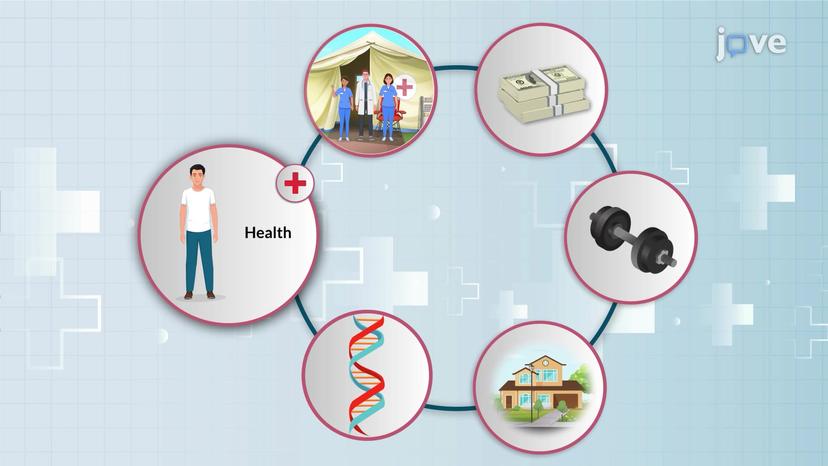 Dimensions of Health and Illness