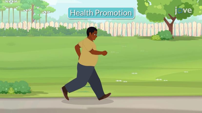 Levels of Health Promotion and Illness Prevention