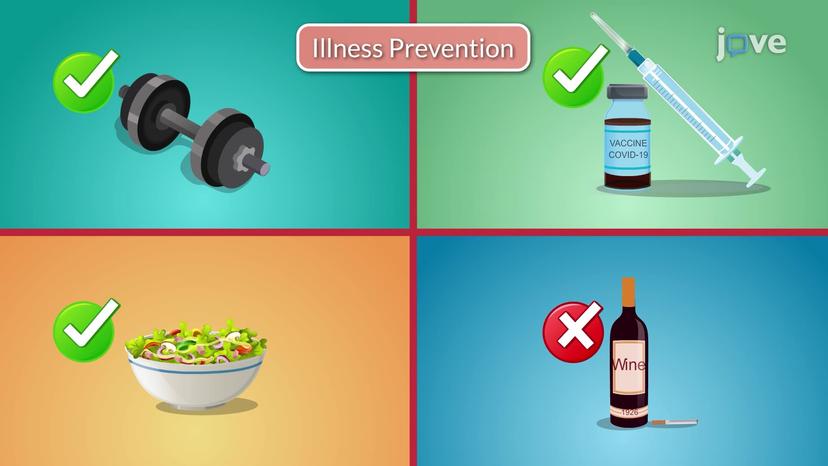 Models of Health Promotion and Illness Prevention II