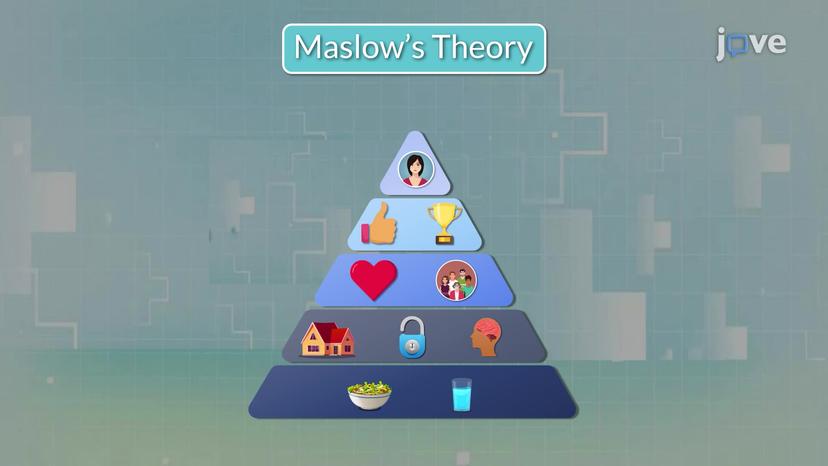 Maslow's Theory of Basic Human Needs