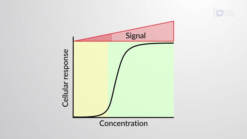 Diversity in Cell Signaling Responses