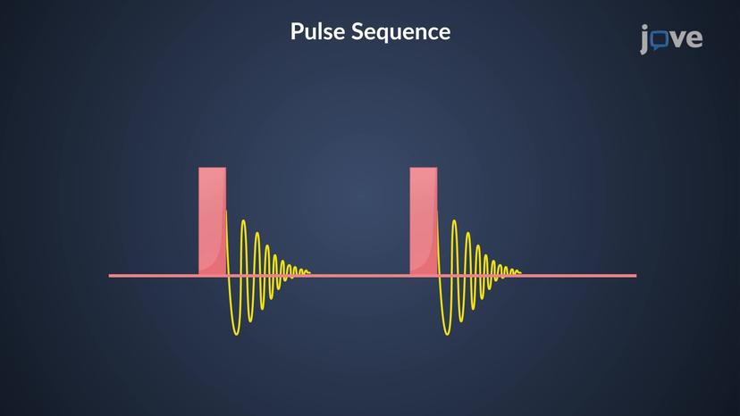 NMR Spectrometers: Radiofrequency Pulses and Pulse Sequences