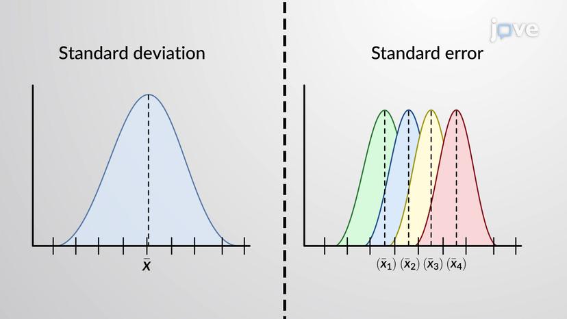 Standard Error of the Mean