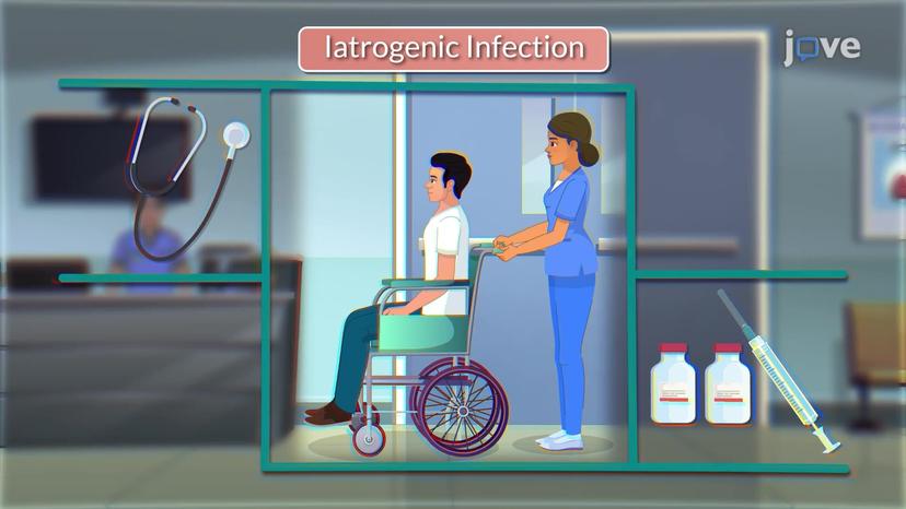 Healthcare Associated Infections I: Iatrogenic, Exogenic and Endogenic