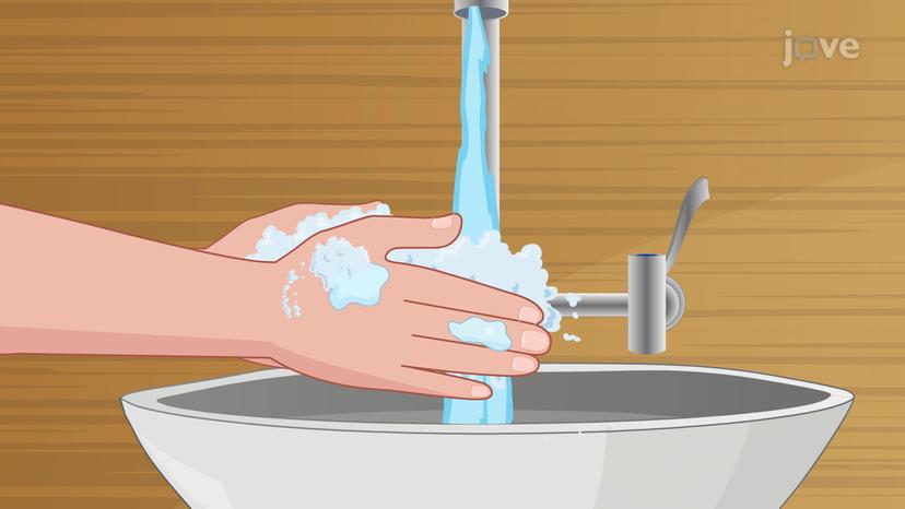 Hand hygiene