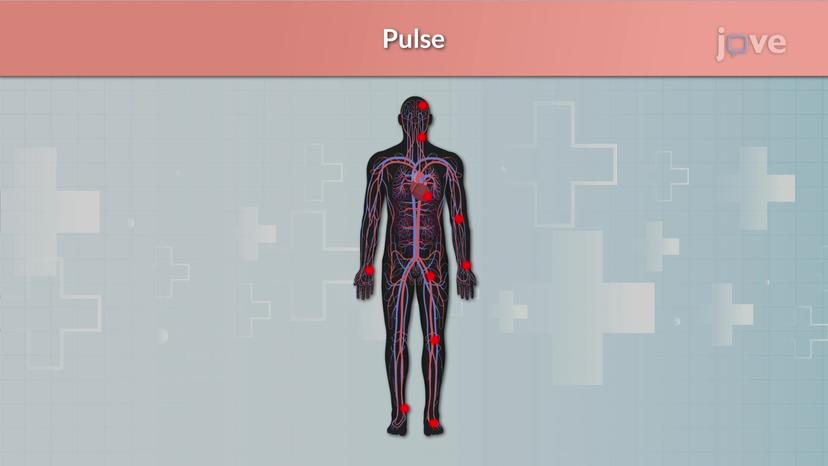 Pulse Assessment Sites