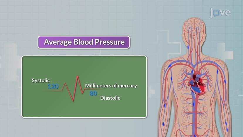 Blood Pressure