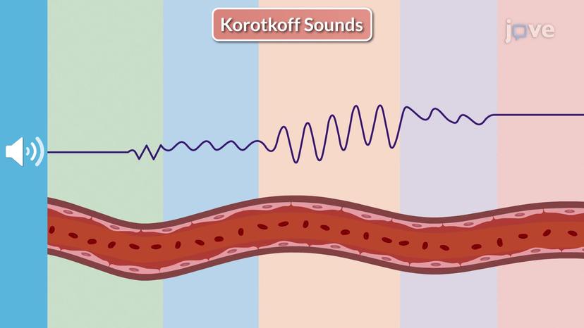 Korotkoff Sounds