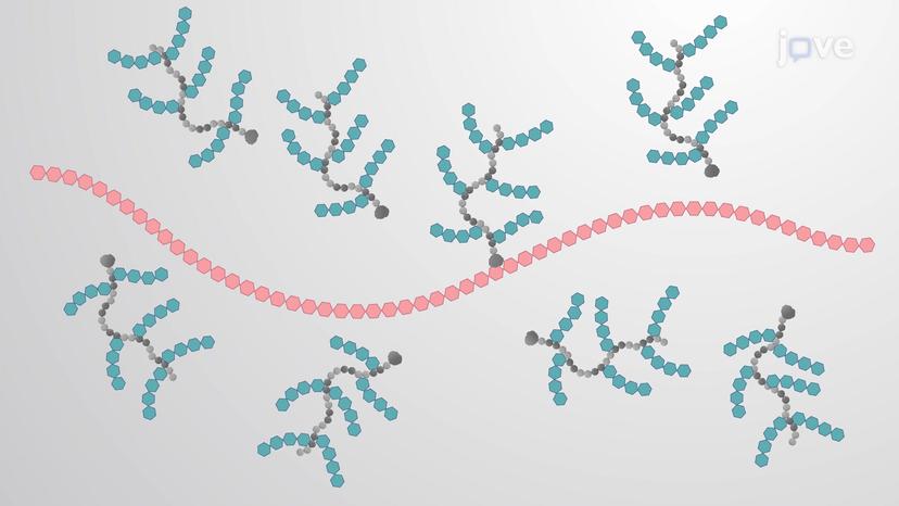 Glycosaminoglycans