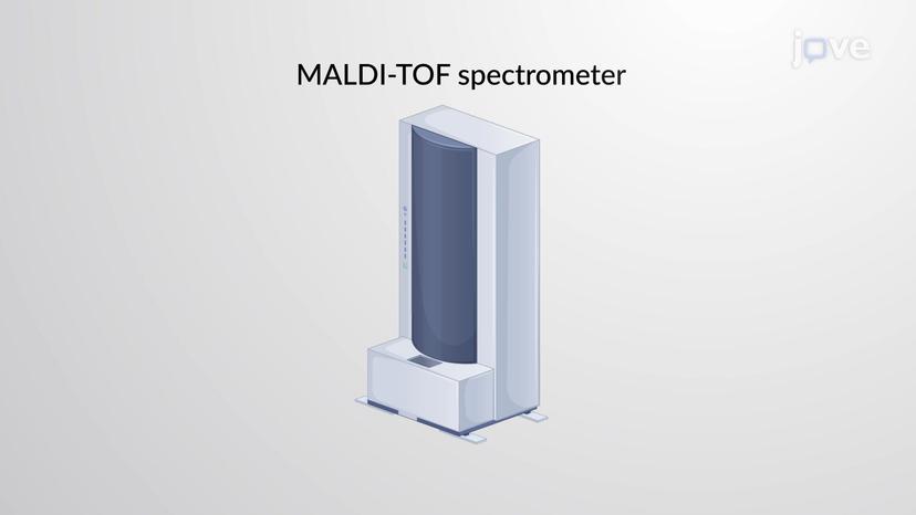 MALDI-TOF Mass Spectrometry