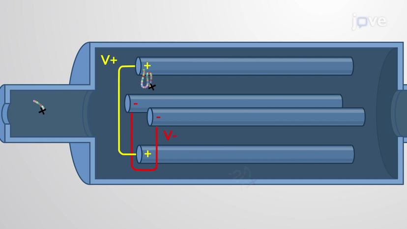 Peptide Identification Using Tandem Mass Spectrometry