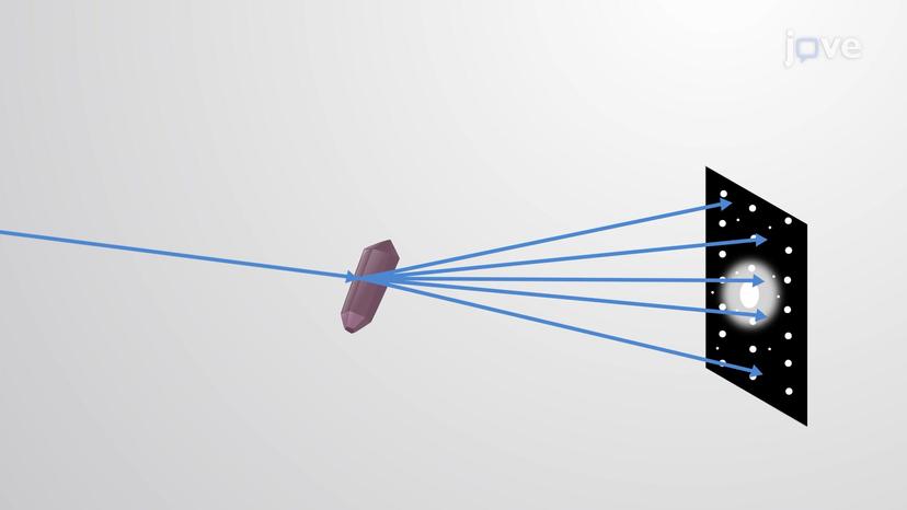 X-ray Diffraction of Biological Samples