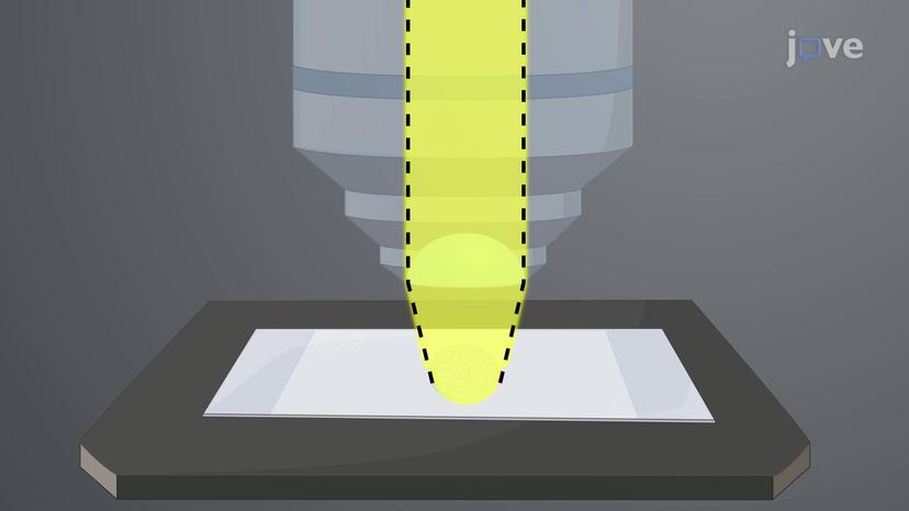 Imaging Biological Samples with Optical Microscopy