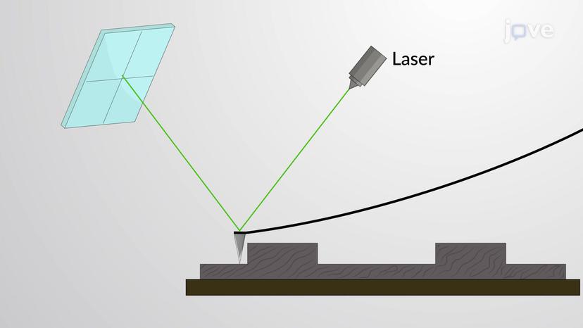 Atomic Force Microscopy