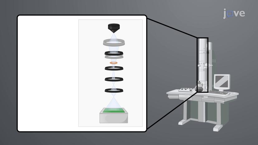 Overview of Electron Microscopy